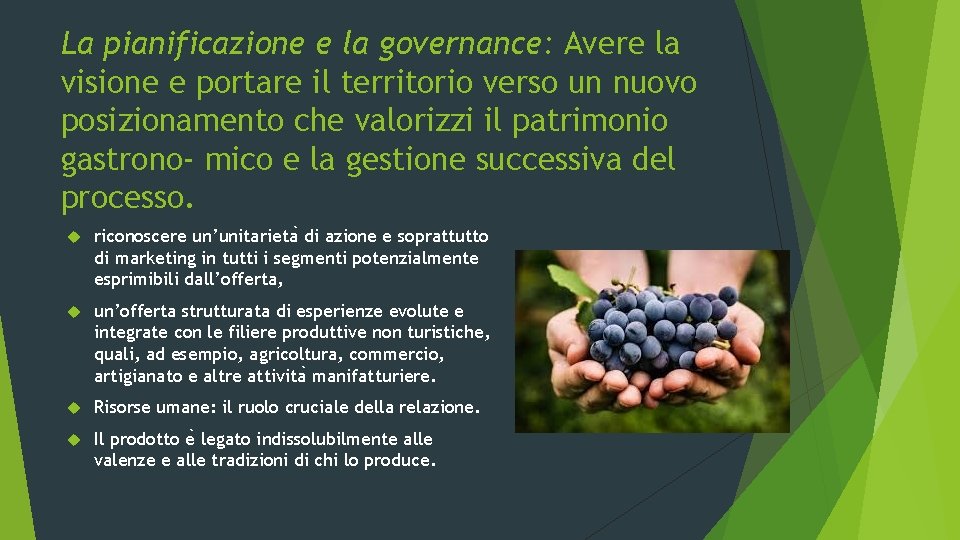 La pianificazione e la governance: Avere la visione e portare il territorio verso un