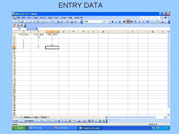 ENTRY DATA 