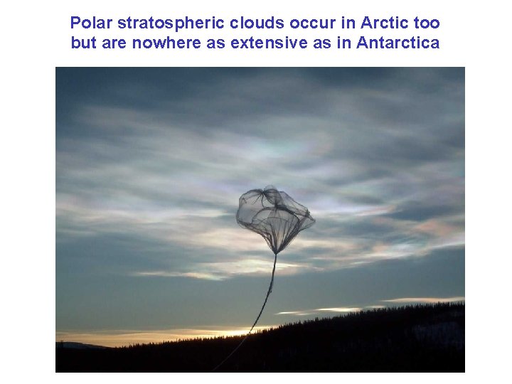 Polar stratospheric clouds occur in Arctic too but are nowhere as extensive as in