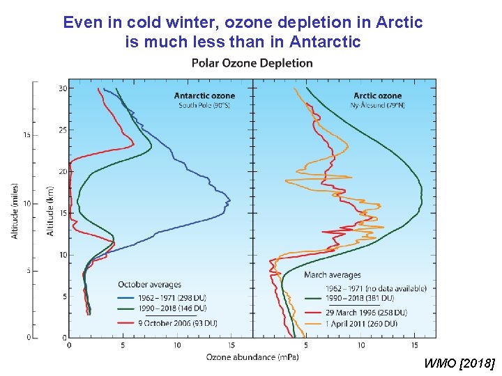 Even in cold winter, ozone depletion in Arctic is much less than in Antarctic