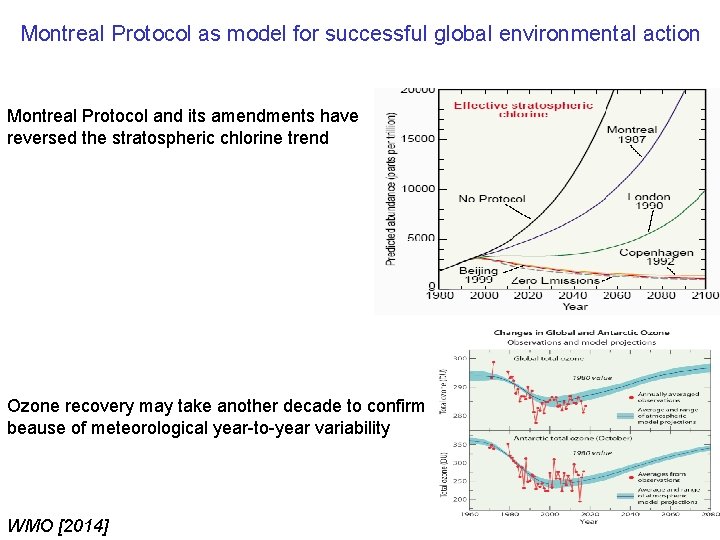 Montreal Protocol as model for successful global environmental action Montreal Protocol and its amendments