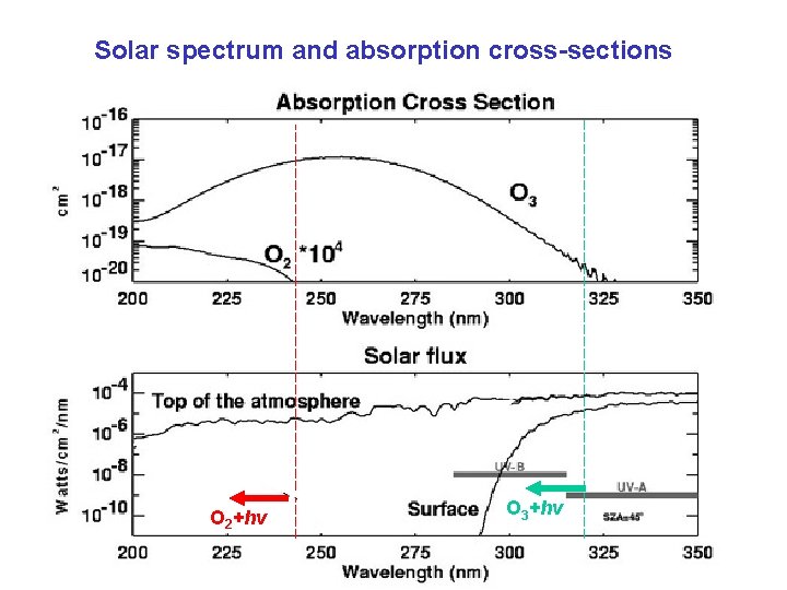 Solar spectrum and absorption cross-sections O 2+hv O 3+hv 
