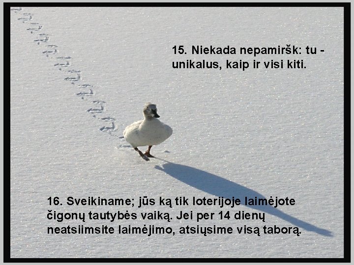 15. Niekada nepamiršk: tu unikalus, kaip ir visi kiti. 16. Sveikiname; jūs ką tik