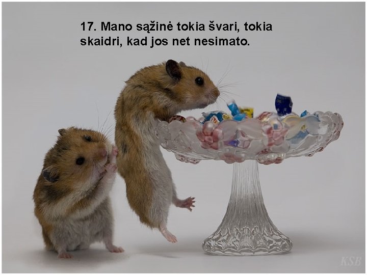 17. Mano sąžinė tokia švari, tokia skaidri, kad jos net nesimato. 
