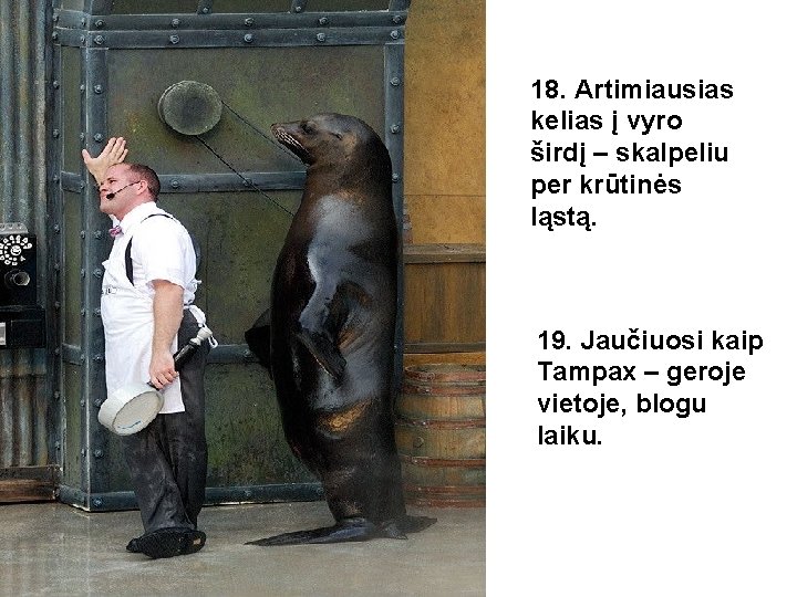 18. Artimiausias kelias į vyro širdį – skalpeliu per krūtinės ląstą. 19. Jaučiuosi kaip