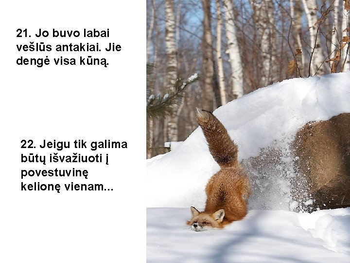 21. Jo buvo labai vešlūs antakiai. Jie dengė visa kūną. 22. Jeigu tik galima