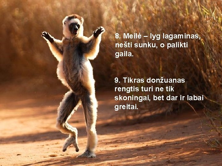 8. Meilė – lyg lagaminas, nešti sunku, o palikti gaila. 9. Tikras donžuanas rengtis