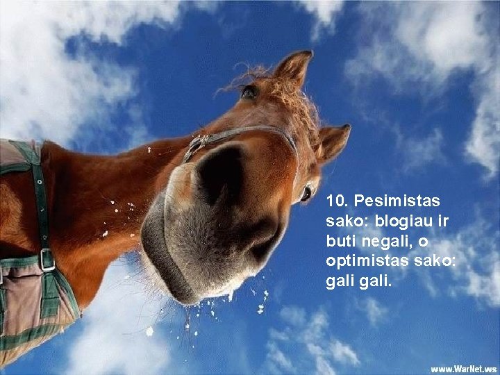 10. Pesimistas sako: blogiau ir buti negali, o optimistas sako: gali. 