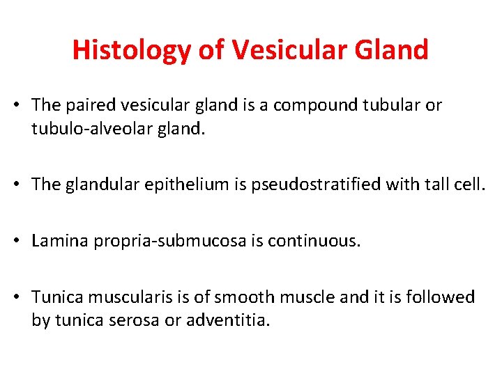 Histology of Vesicular Gland • The paired vesicular gland is a compound tubular or