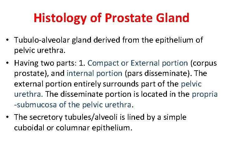 Histology of Prostate Gland • Tubulo-alveolar gland derived from the epithelium of pelvic urethra.