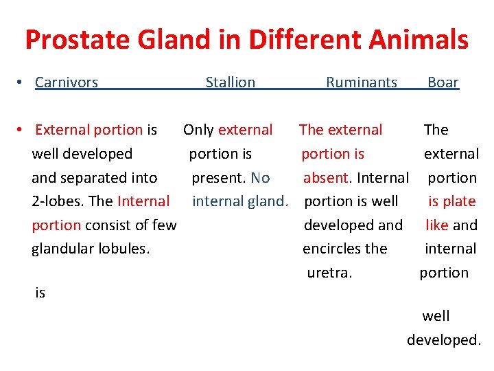 Prostate Gland in Different Animals • Carnivors Stallion Ruminants Boar • External portion is