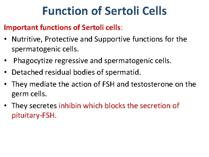 Function of Sertoli Cells Important functions of Sertoli cells: • Nutritive, Protective and Supportive