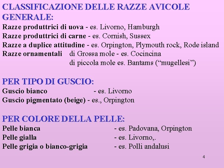 CLASSIFICAZIONE DELLE RAZZE AVICOLE GENERALE: Razze produttrici di uova - es. Livorno, Hamburgh Razze