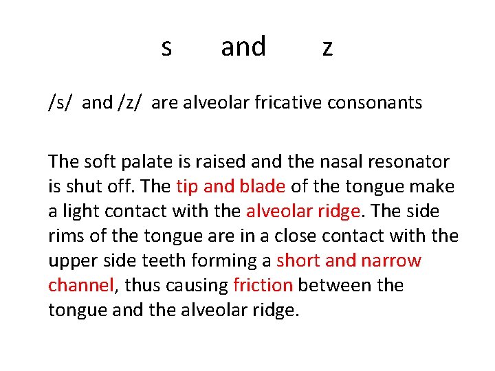 s and z /s/ and /z/ are alveolar fricative consonants The soft palate is