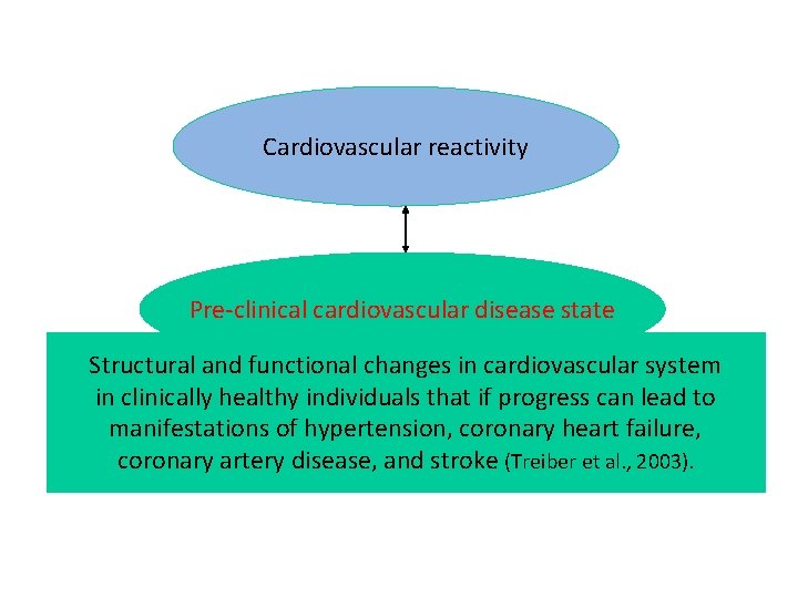 Cardiovascular reactivity Pre-clinical cardiovascular disease state Structural and functional changes in cardiovascular system in