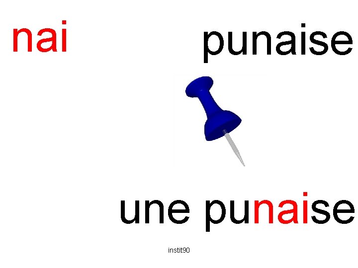 nai punaise une punaise instit 90 