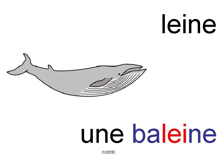 lei baleine une baleine instit 90 