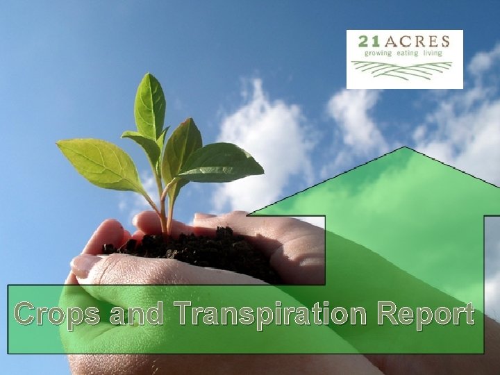 Crops and Transpiration Report 