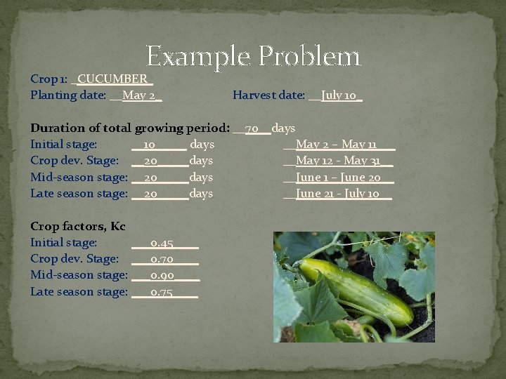 Example Problem Crop 1: _CUCUMBER_ Planting date: __May 2_ Harvest date: __July 10_ Duration