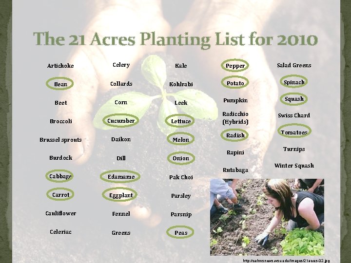 The 21 Acres Planting List for 2010 Artichoke Celery Kale Pepper Salad Greens Bean