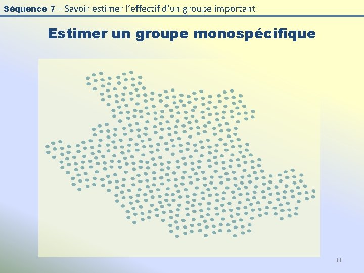 Séquence 7 – Savoir estimer l’effectif d’un groupe important Estimer un groupe monospécifique 11