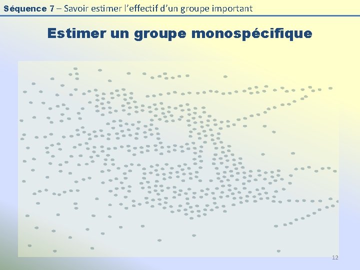 Séquence 7 – Savoir estimer l’effectif d’un groupe important Estimer un groupe monospécifique 12