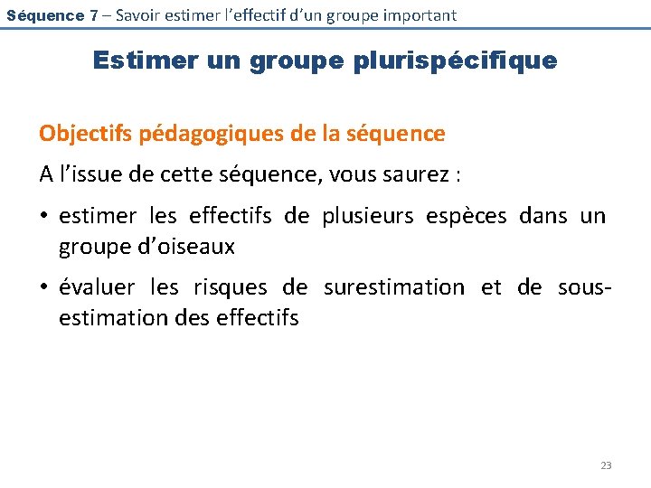 Séquence 7 – Savoir estimer l’effectif d’un groupe important Estimer un groupe plurispécifique Objectifs