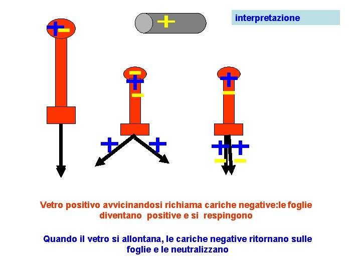 interpretazione Vetro positivo avvicinandosi richiama cariche negative: le foglie diventano positive e si respingono