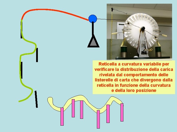 Reticella a curvatura variabile per verificare la distribuzione della carica rivelata dal comportamento delle