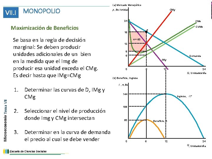 (a) Mercado Monopólico VII. I MONOPOLIO CMg p, Bs /unidad 24 Maximización de Beneficios