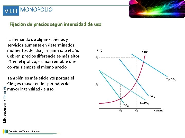 VII. III MONOPOLIO Fijación de precios según intensidad de uso Microeconomía Tema VII La