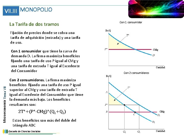 VII. III MONOPOLIO Con 1 consumidor La Tarifa de dos tramos Fijación de precios VII. III MONOPOLIO Con 1 consumidor La Tarifa de dos tramos Fijación de precios