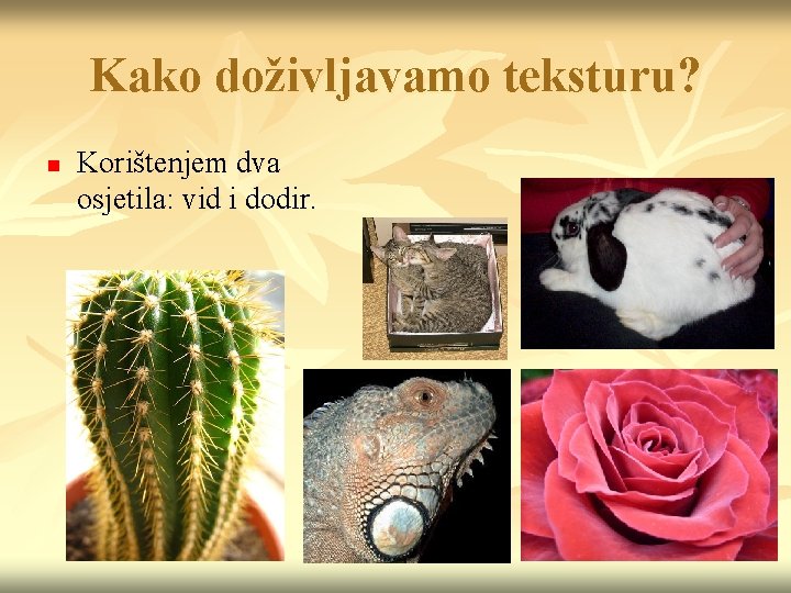 Kako doživljavamo teksturu? n Korištenjem dva osjetila: vid i dodir. 