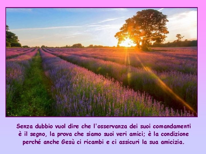 Senza dubbio vuol dire che l'osservanza dei suoi comandamenti è il segno, la prova