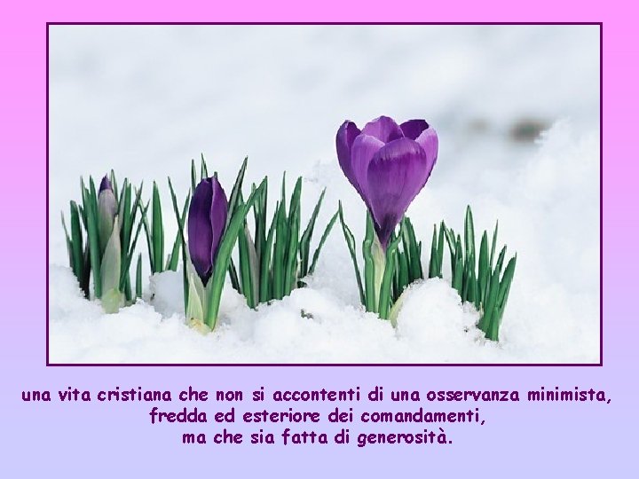 una vita cristiana che non si accontenti di una osservanza minimista, fredda ed esteriore