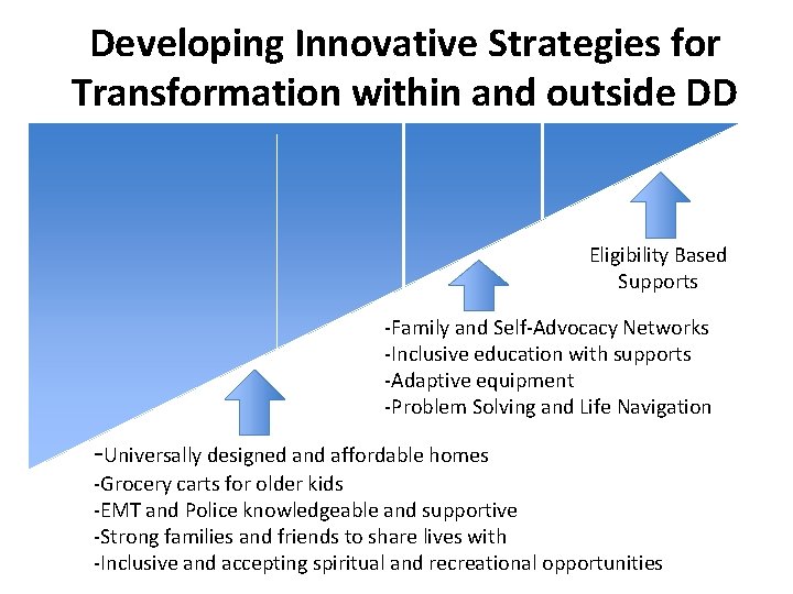 Developing Innovative Strategies for Transformation within and outside DD Eligibility Based Supports -Family and