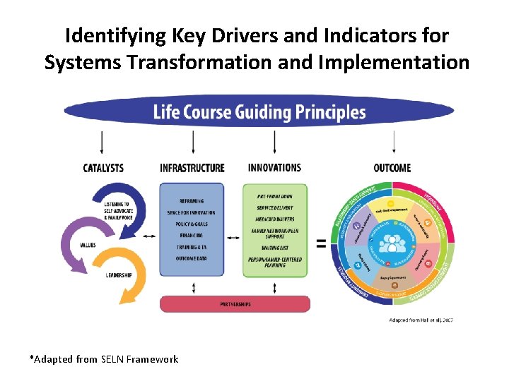 Identifying Key Drivers and Indicators for Systems Transformation and Implementation *Adapted from SELN Framework