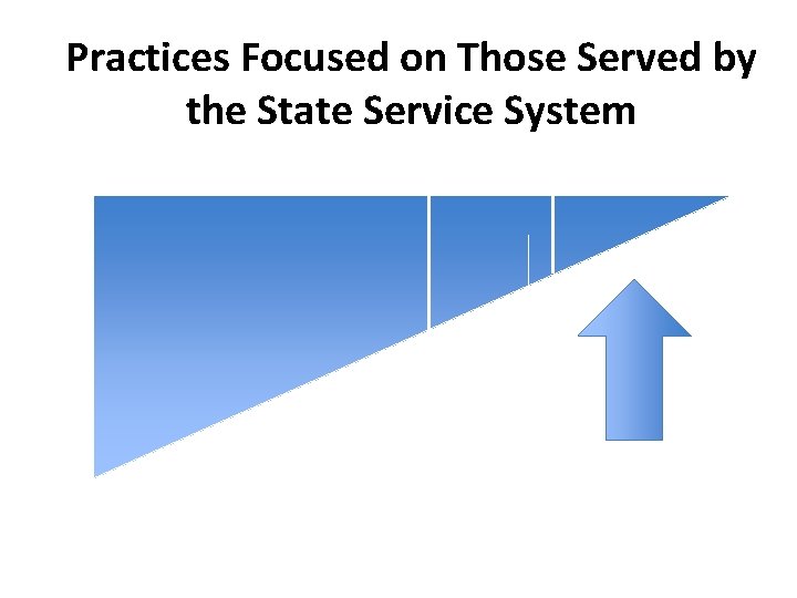 Practices Focused on Those Served by the State Service System 