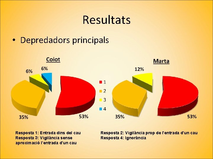 Resultats • Depredadors principals Resposta 1: Entrada dins del cau Resposta 3: Vigilància sense