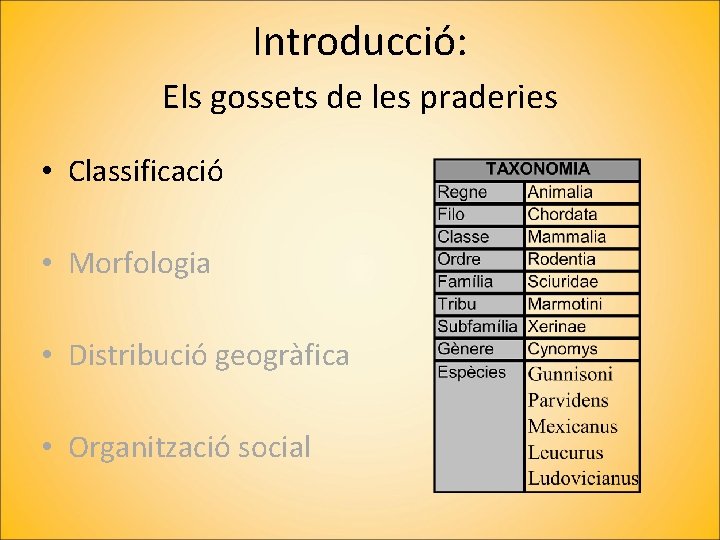 Introducció: Els gossets de les praderies • Classificació • Morfologia • Distribució geogràfica •