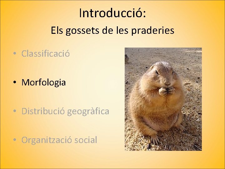 Introducció: Els gossets de les praderies • Classificació • Morfologia • Distribució geogràfica •