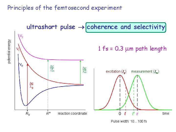 pump-probe 5 Principles of the femtosecond experiment potential energy ultrashort pulse coherence and selectivity