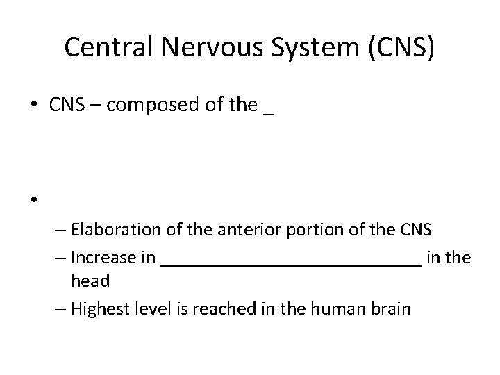 Central Nervous System (CNS) • CNS – composed of the _ • – Elaboration Central Nervous System (CNS) • CNS – composed of the _ • – Elaboration