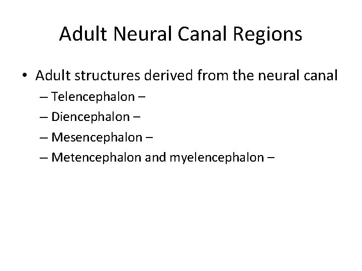 Adult Neural Canal Regions • Adult structures derived from the neural canal – Telencephalon Adult Neural Canal Regions • Adult structures derived from the neural canal – Telencephalon