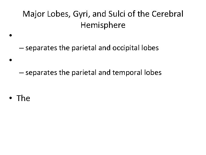 • Major Lobes, Gyri, and Sulci of the Cerebral Hemisphere – separates the • Major Lobes, Gyri, and Sulci of the Cerebral Hemisphere – separates the