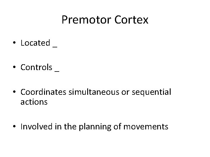 Premotor Cortex • Located _ • Controls _ • Coordinates simultaneous or sequential actions Premotor Cortex • Located _ • Controls _ • Coordinates simultaneous or sequential actions