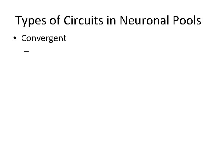 Types of Circuits in Neuronal Pools • Convergent – Types of Circuits in Neuronal Pools • Convergent –