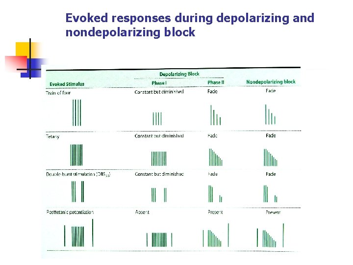 Evoked responses during depolarizing and nondepolarizing block 