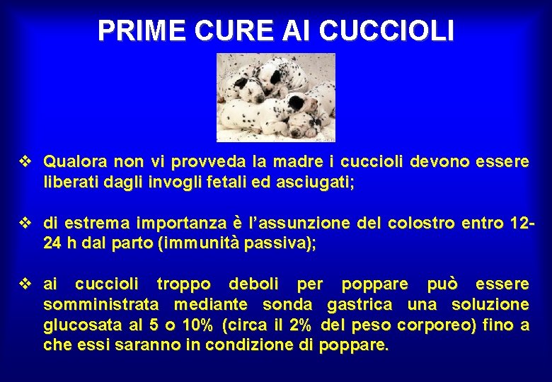 PRIME CURE AI CUCCIOLI v Qualora non vi provveda la madre i cuccioli devono