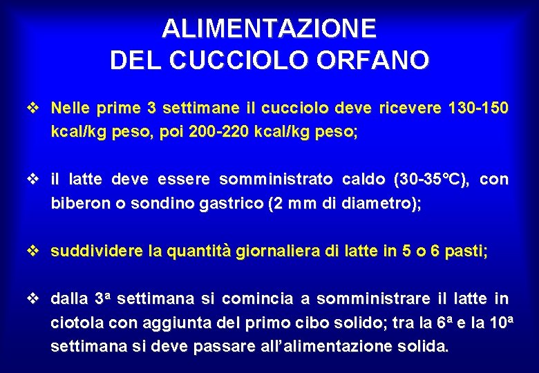 ALIMENTAZIONE DEL CUCCIOLO ORFANO v Nelle prime 3 settimane il cucciolo deve ricevere 130